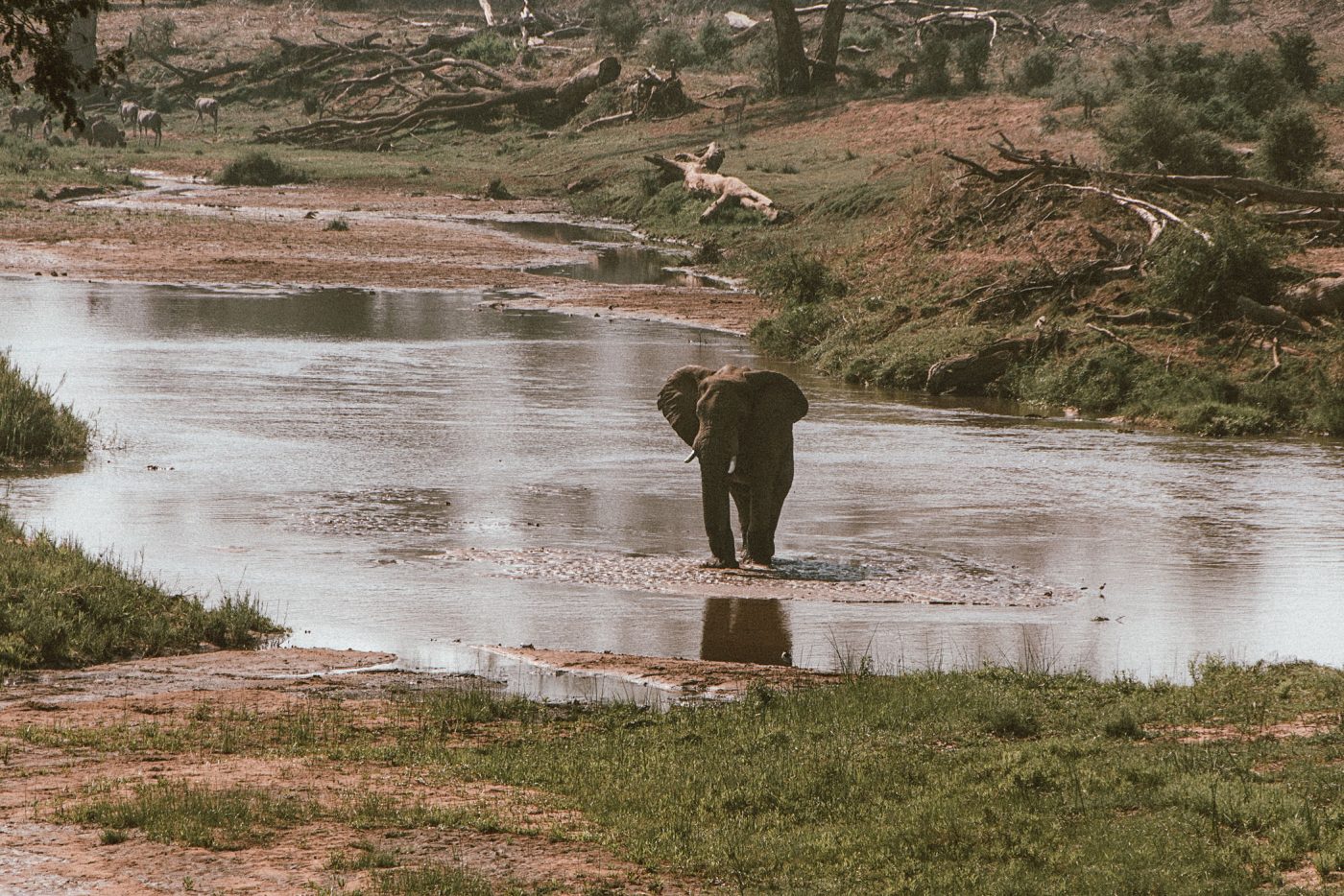 lala-lodge-level1-makuleke-04