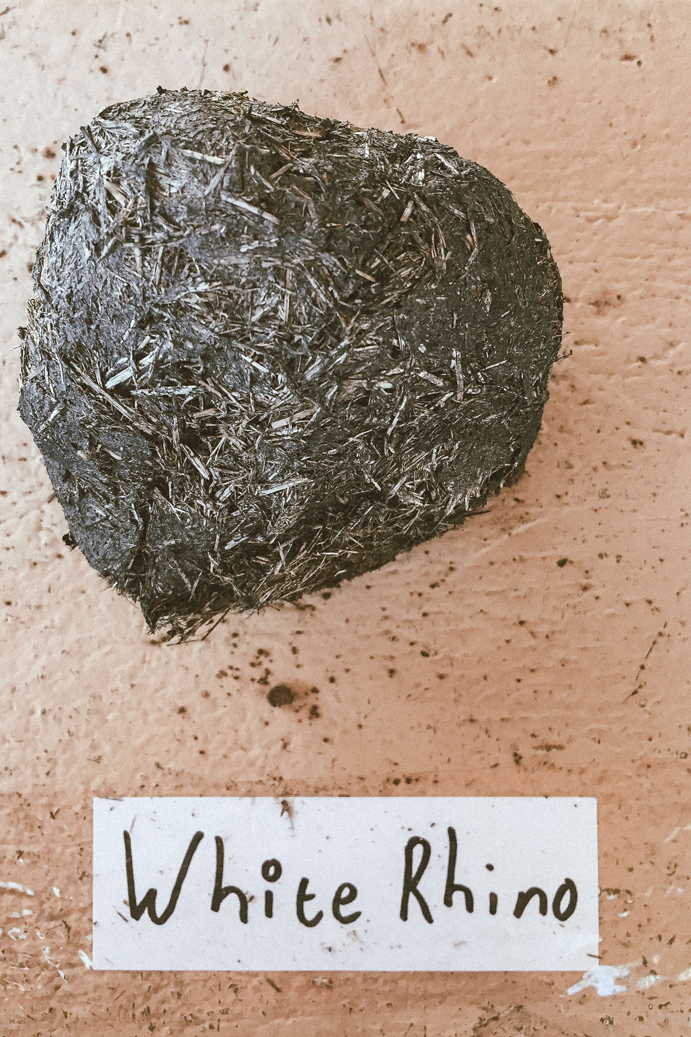 lala-lodge-blog-selati-nqf2-02