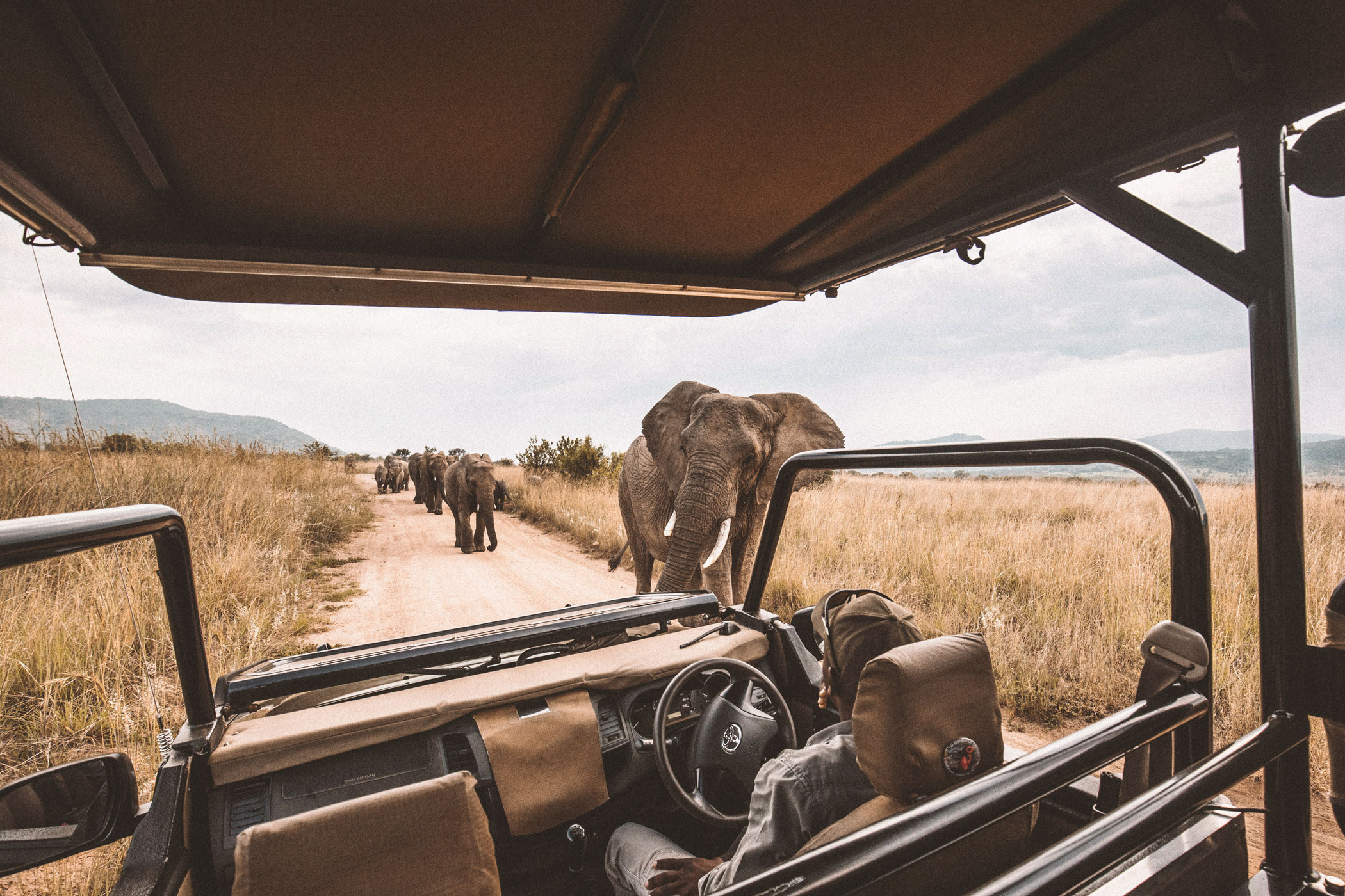 lala-lodge-activities-game-drives-01