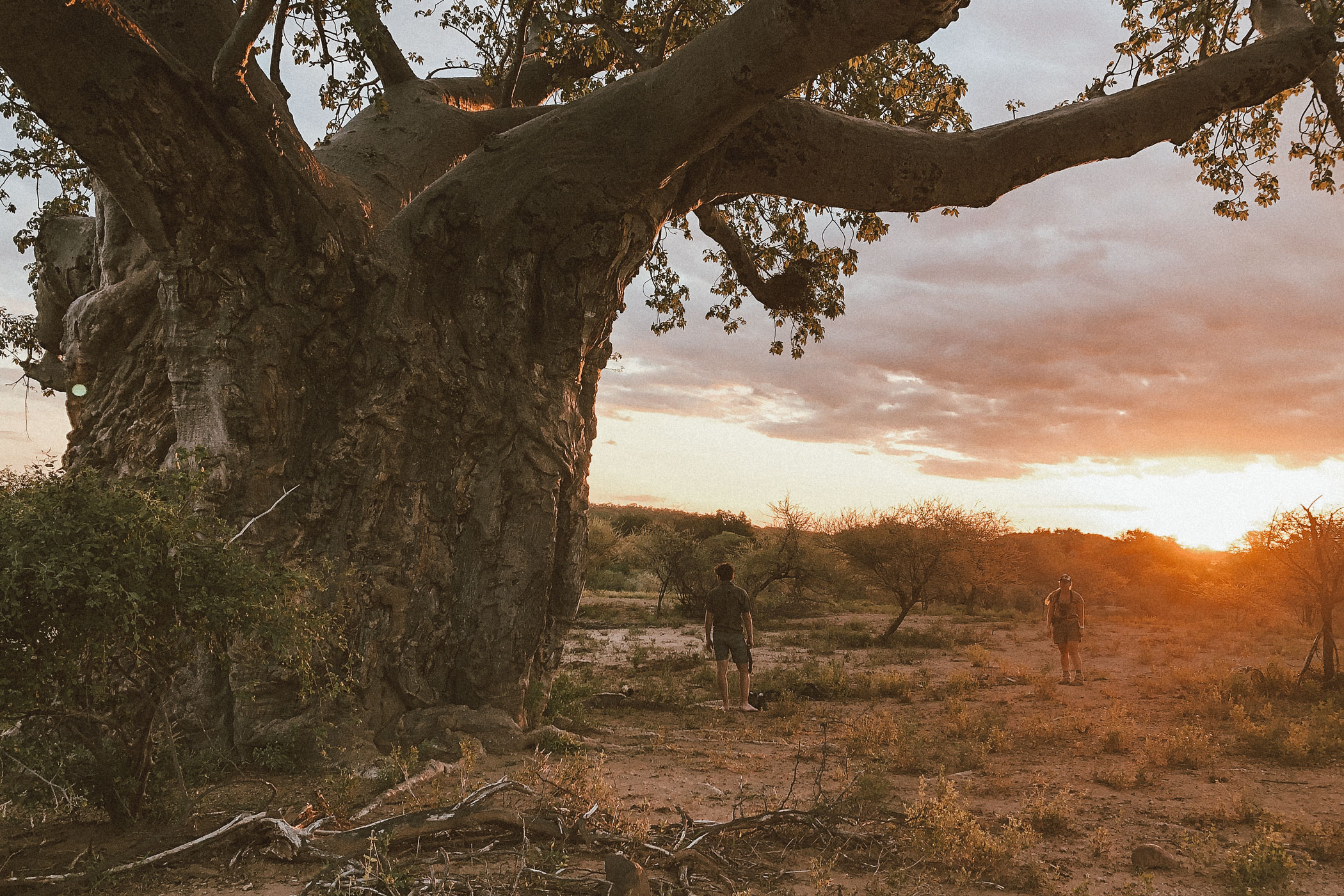 lala-lodge-makuleke-sunset-01
