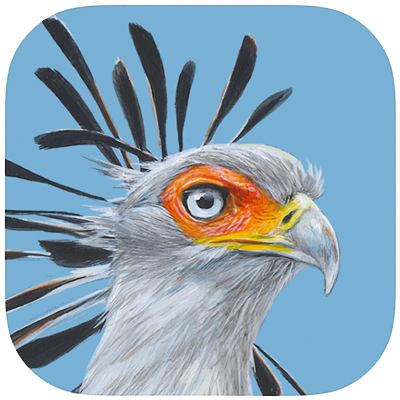 roberts-bird-of-sa-app