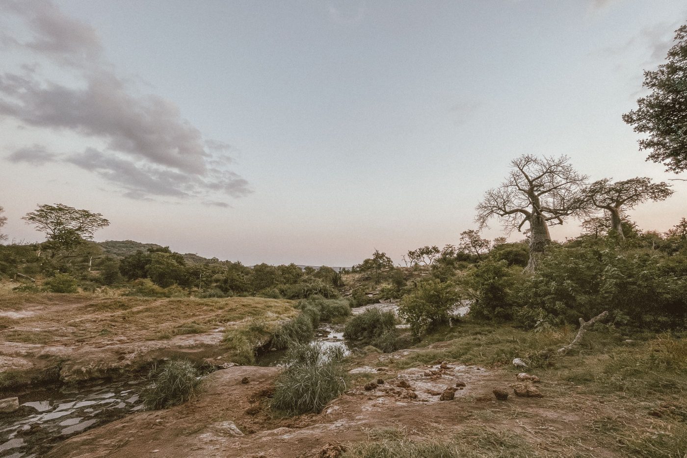 lala-lodge-makuleke-mashishiti-02