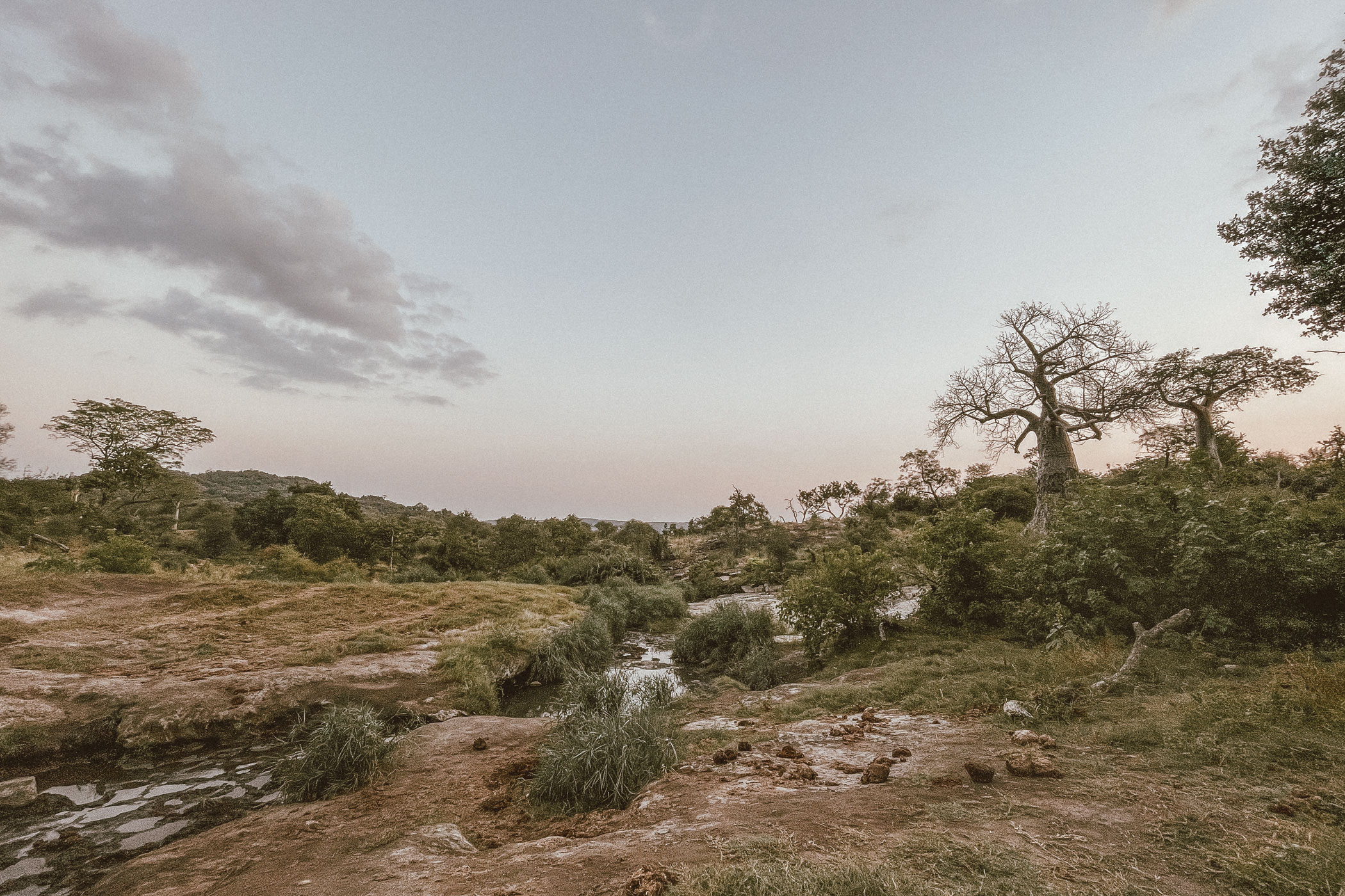lala-lodge-makuleke-mashishiti-02