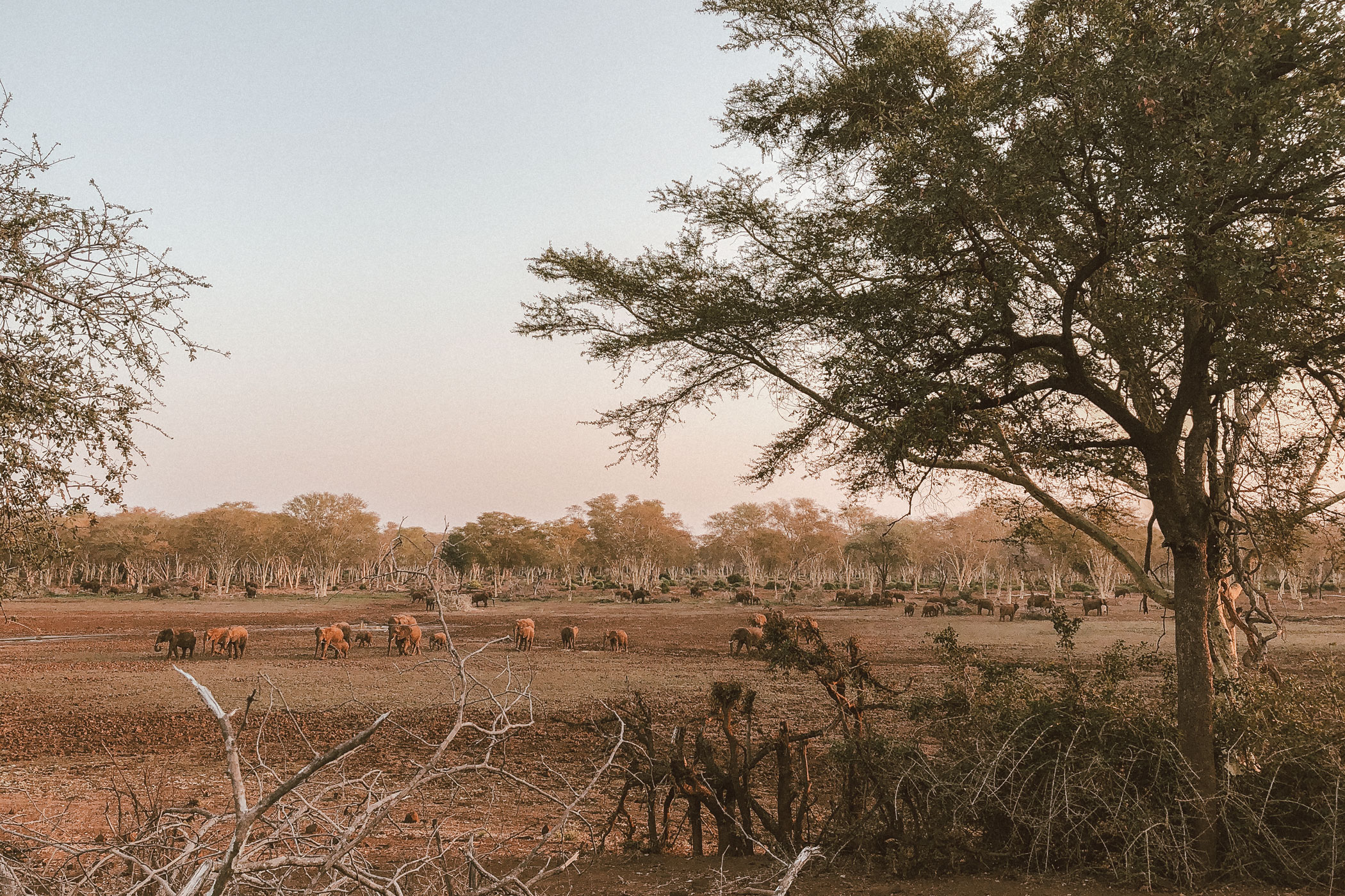 lala-lodge-makuleke-reedbuckvlei-01